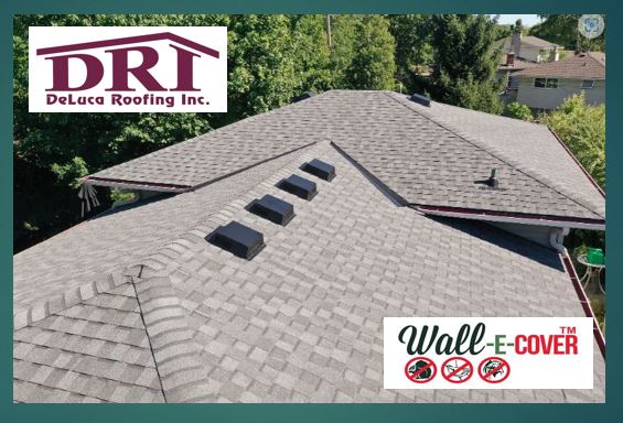 DuLuca Roofing Wall-E Cover
